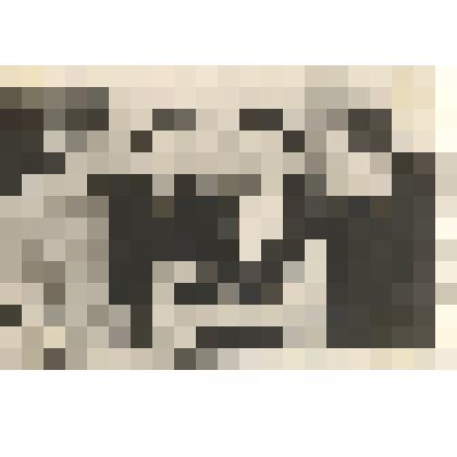 Фотография: бригада доярок Калиновского отделения Плотниковского совхоза под руководством С.В.Финк