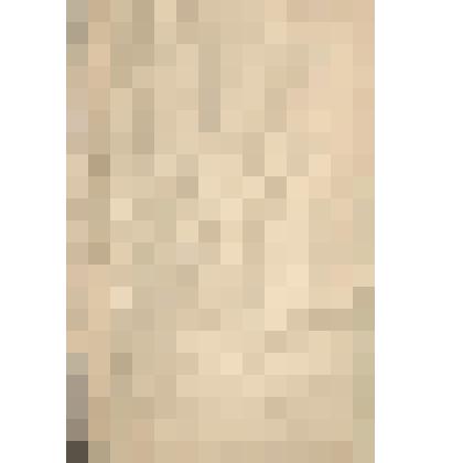 Растения Енисейского округа  Енисейской губернии