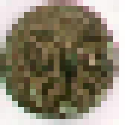 Монета. Российская империя