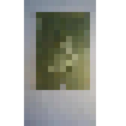 Портрет И.С.Тургенева. Барельеф на картоне