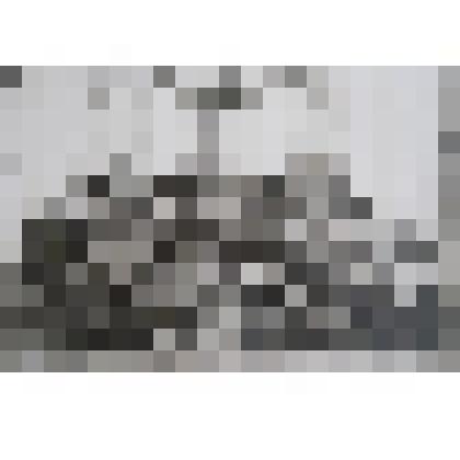 Участники 2-й окружной партийной конференции