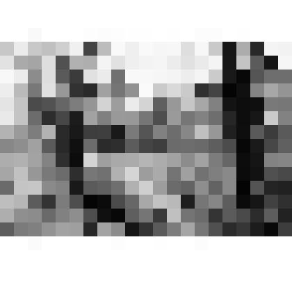 Фото цв. Аллея возле "Элмы". 22.04.2000 г