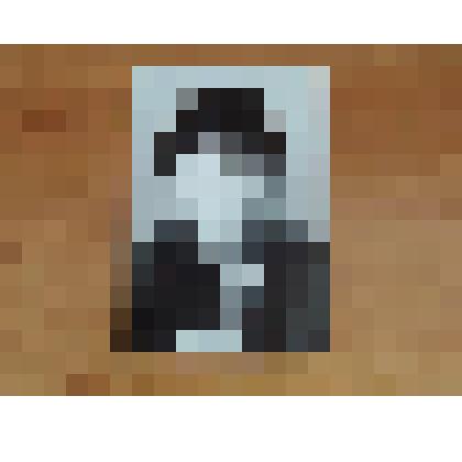 Фотопортрет. Романова Галина Васильевна, удмуртская поэтесса, уроженка д. Сухая Видзя Увинского района