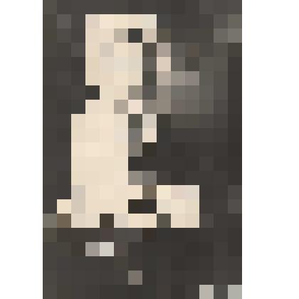 Фотография из коллекции "Вера Александровна Флёрова" - Вера Флёрова