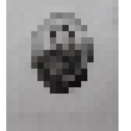 Гравюра «Портрет Э. Богарне»