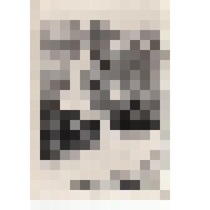 Фото/чб. Энгельсская опытно-мелиоративная станция (ВОЛЖНИИГИМ). Орошение поля (плодового сада). 1960-1970-е