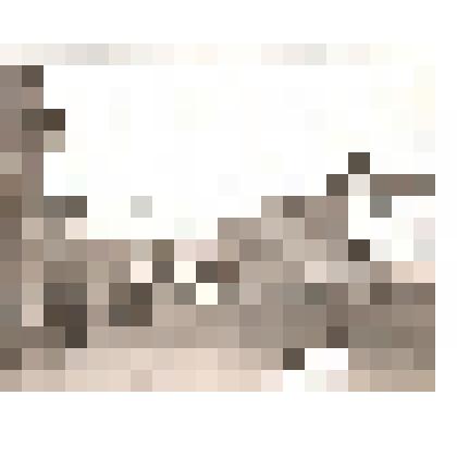 Фотография. Вид улицы 20 лет ВЛКСМ, по которой идет праздничная колонна демонстрантов