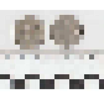 Монета 20 копеек