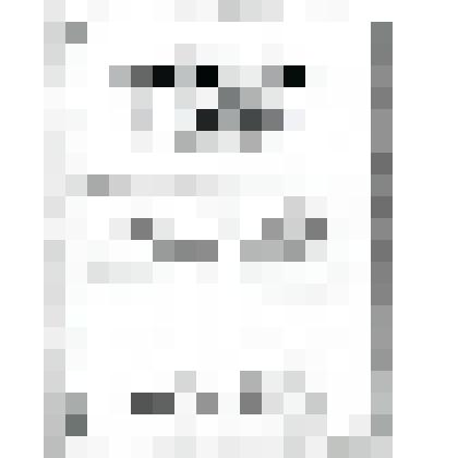 Нотное издание: "Романсы и песни"