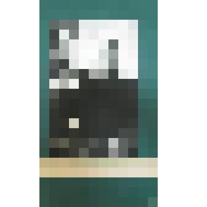 Фотография."Историк и писатель Лев Николаевич Гумилев"