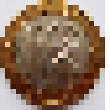 Монета юбилейная. Калининград. Россия