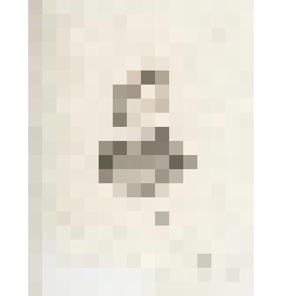 Портрет З.Н. Некрасовой. Отдельный оттиск заметки с портрета Н.А. Некрасова