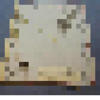 Ботаническая коллекция. Полевица белая, на гербарном листе, левый берег рек Шама, с. Таштып. Yraminlae Agrostis alba