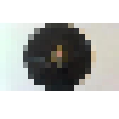 Граммофонная пластинка с голосом Л.Н.Толстого, мысли из книги «На каждый день»