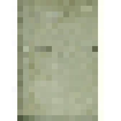 Журнал Сольвычегодского Сиротского суда