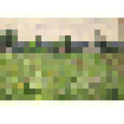 Картина. Летом у деревни Семенково