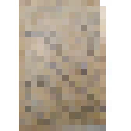 Автобиография Костенко И.И