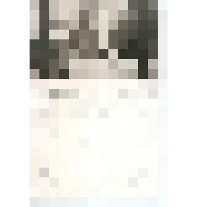 Открытка. Л.Н.Толстой верхом.Репродукция с фотографии В.Г.Черткова 1909