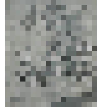 Воздвижение креста