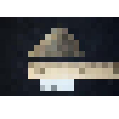 Раковина аммонита