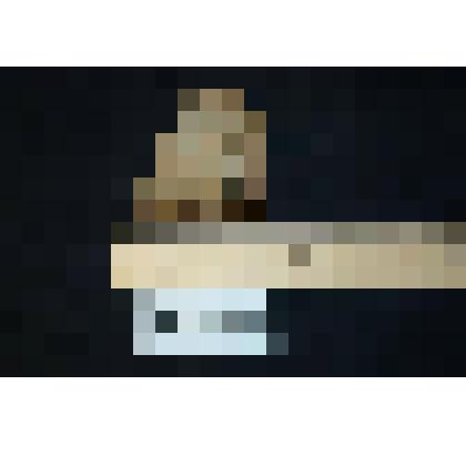 Окремнелая губка