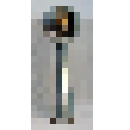 Кубок "Чемпион ХХXI ВСХ г. Рига 1988 г." (Конзавод № 9)