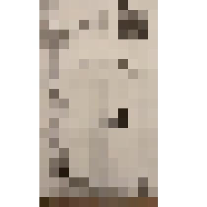 Билет с вкладышем. Цветаева Анастасия Ивановна. 4 января 005 г. Составители ГЛЕБЫ. Москва. 2005 г