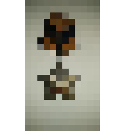 Орден Славы III степени