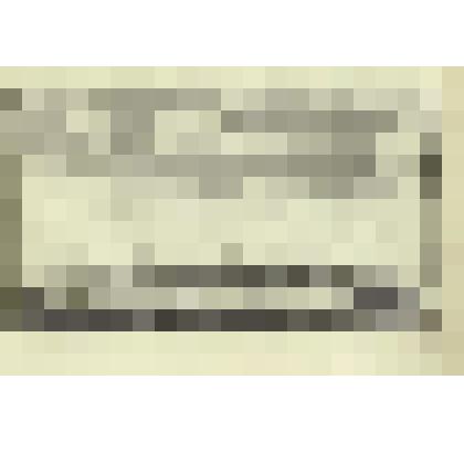 «Вид города Томска».1770. Из серии «Собрание Российских и Сибирских городов»