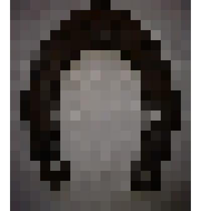 Подкова боевой лошади