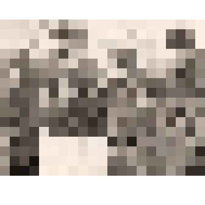 Фотогграфия