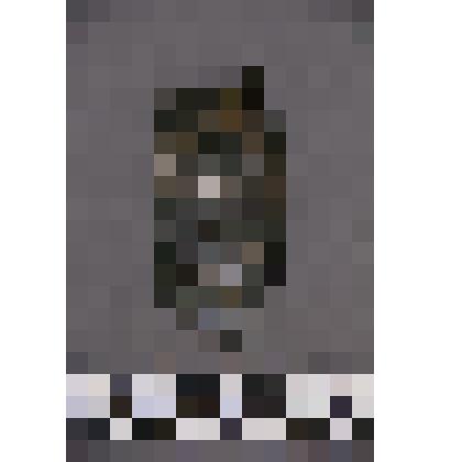 коллекция В.Ф. Лагодича. Талисман на металлической пластине, по мотивам изваяний окуневской культуры. С изображением 3-хглазой личины занимающей всю пластину. Разделена на 3 части горизонтальными линиями по уровню – глаза; – нос; – рот