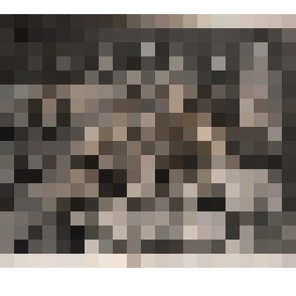 Фото.Врачи военного госпиталя:Черменский В.Я.,Шарапов И.П. среди фронтовых медработников