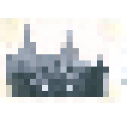 Фотография: делегаты XIV съезда комсомола от Алтайского края на Красной площади в Москве. Среди присутствующих Маслова Н.С. из с.Корнилово Каменского района Алтайского края