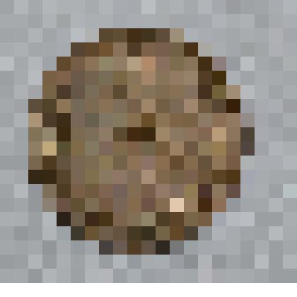 Монета СССР 1 копейка