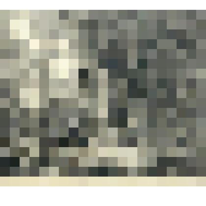 "Фонтенблонский лес". Гравюра