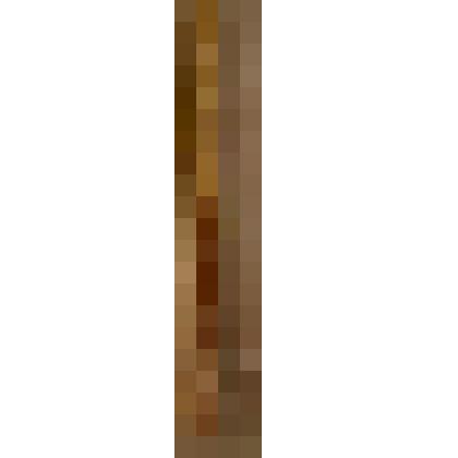 Колонна от иконостаса