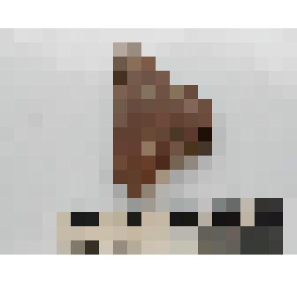 Археология. Фрагмент венчика сосуда, орнаментированный двумя рядамим треугольных наколов.  Верхний край венчика округлый