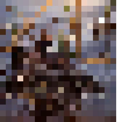 Слайд. Птицы Южной Якутии - утка малая поганка на гнезде