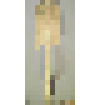 Прялка - "пресница"