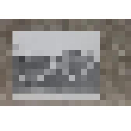 Фотография ч/б. Коллектив Грязовецкого техникума механизации и электрификации сельского хозяйства