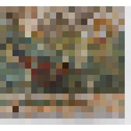 "Пейзаж с березами"