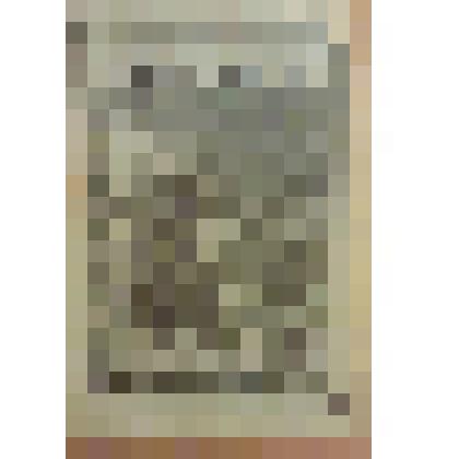 Книга. Свешникова Е. Франциск Ассизский [Text]. №11. / Рис. А. Кившенко / Издательство в книге не указано. - М., 1894 (Типо-литография И.Е.Ермакова)