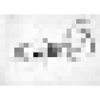 Эскиз-проект Дворца бракосочетания