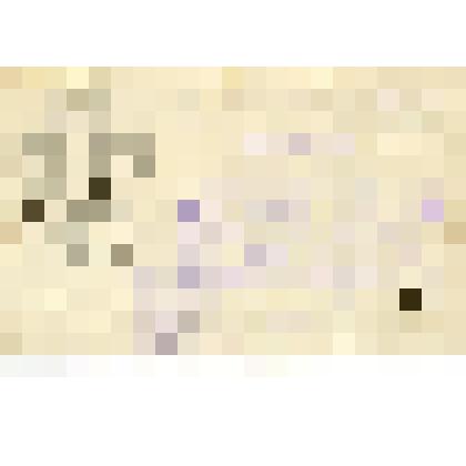 Удостоверение