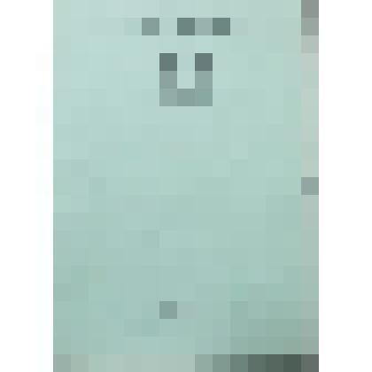 Делегату 32 Новоспасской районной комсомольской конференции