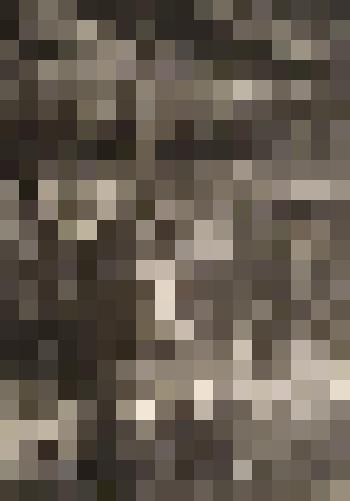 "А. Фет. Избранное. Суперобложка". Графика