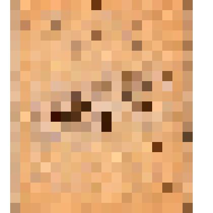 Письмо с фронта Ипатьевой Г.В. от Ботвинника Григория, студенческого друга