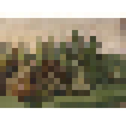 Картина 
«На опушке»