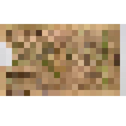 Билет разменный Елисаветградского Отделения Народного Банка 50 рублей, 1920г